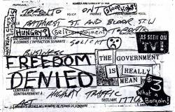 Freedom Denied : The Government is Really Mean